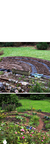 Integral coaching, image of planted and fully grown garden